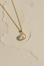 NOVA - COLLIER